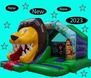 3D Lion Front slide 1577