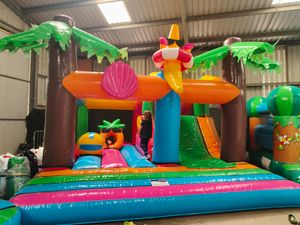 Summer Multiplay Activity Castle