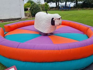 Rodeo Sheep 2 hours