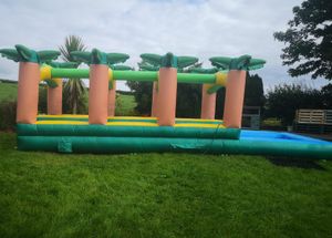 Palm Tree Slip n Slide