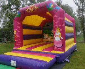 Princess Castle (Large)