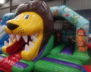 Lion Combo Castle