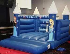 Frozen Castle
