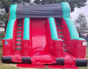 Twin Climb and Slide